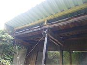 Holzbau & Sanierungarbeiten in Kamerun/Göhrde 5